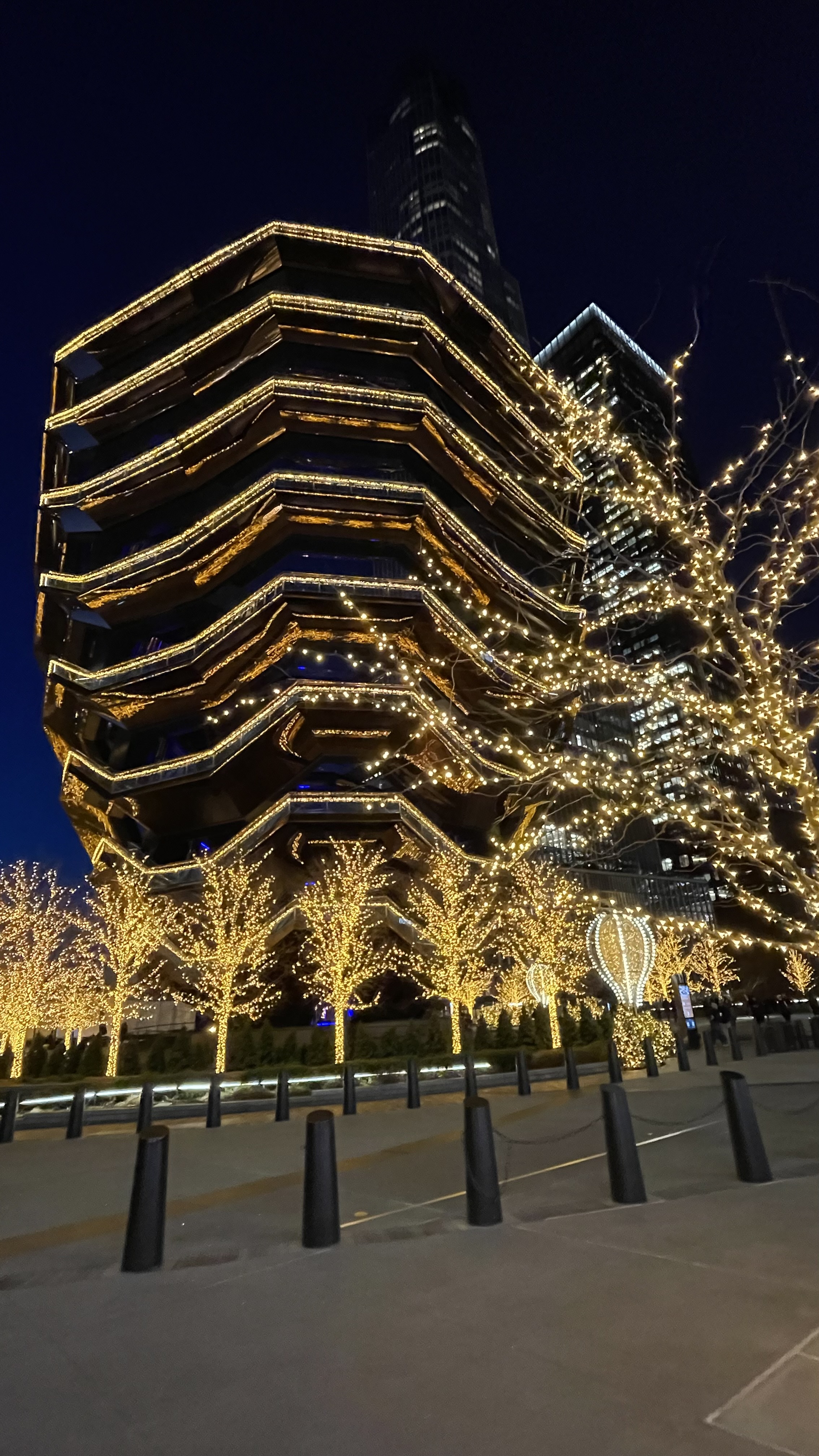 夜色中的Hudson Yard